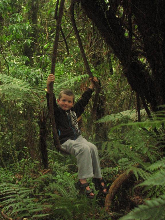 Catlins Newhaven Holiday Park Owaka 部屋 写真