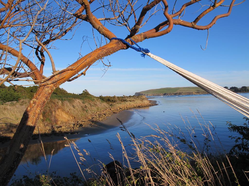 Catlins Newhaven Holiday Park Owaka 部屋 写真
