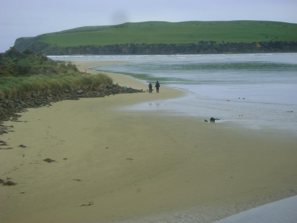 Catlins Newhaven Holiday Park Owaka エクステリア 写真