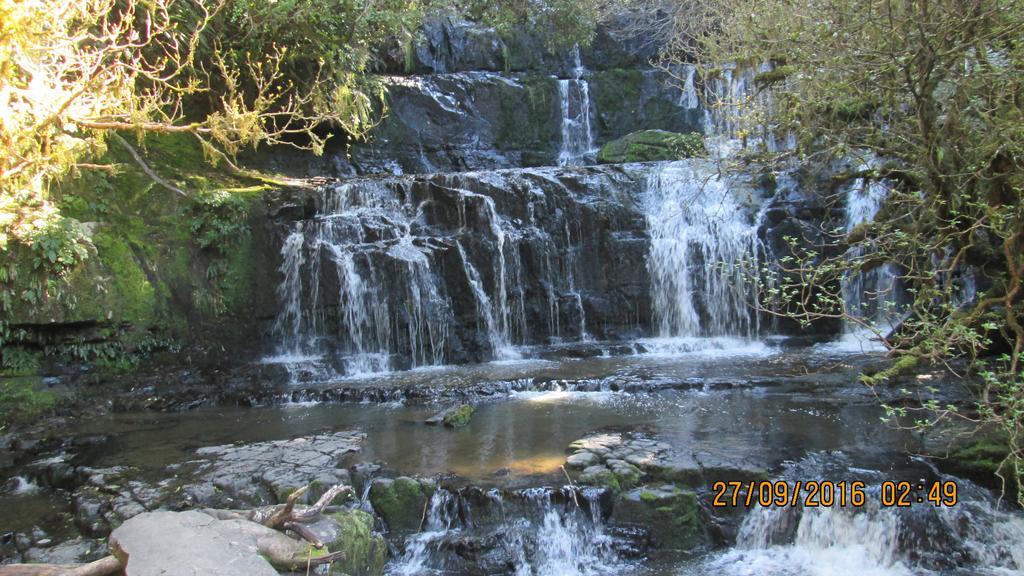 Catlins Newhaven Holiday Park Owaka エクステリア 写真