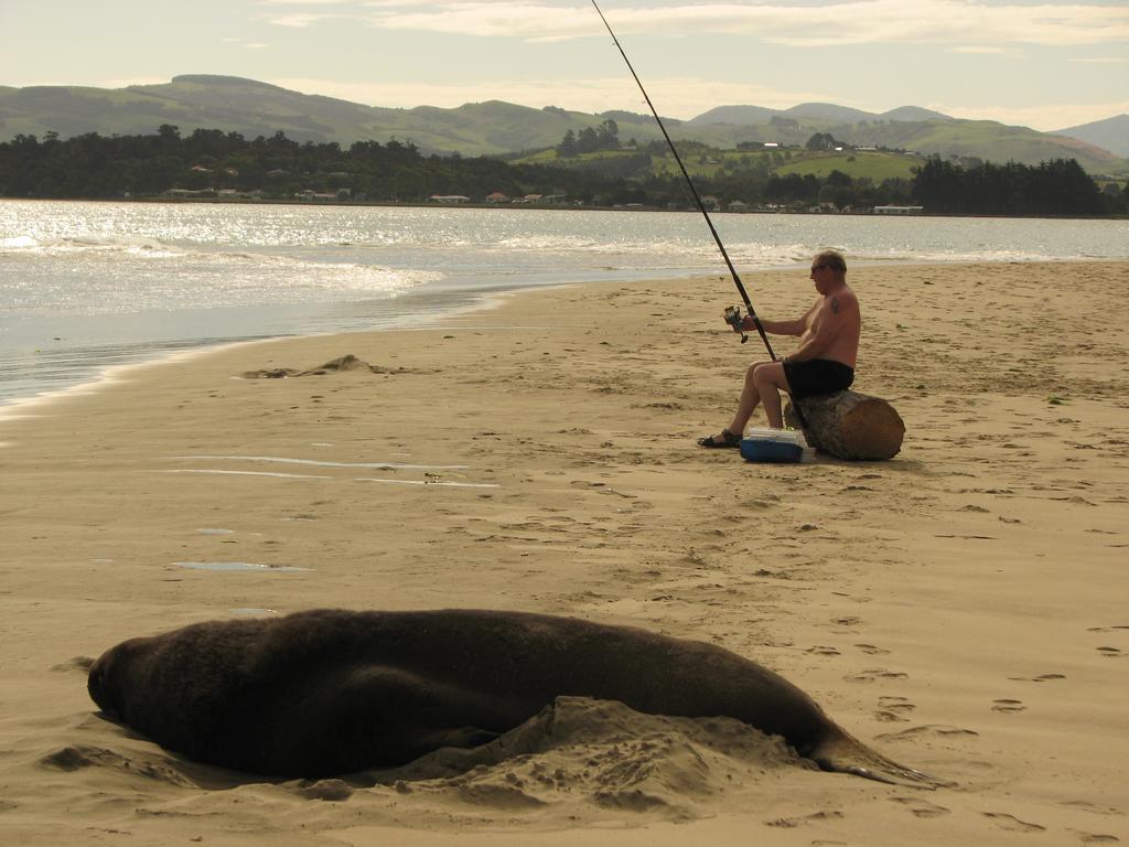 Catlins Newhaven Holiday Park Owaka エクステリア 写真