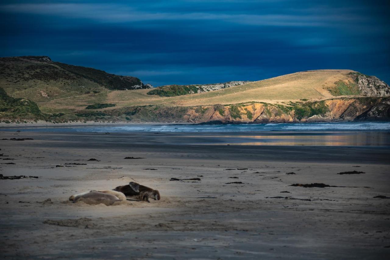 Catlins Newhaven Holiday Park Owaka エクステリア 写真
